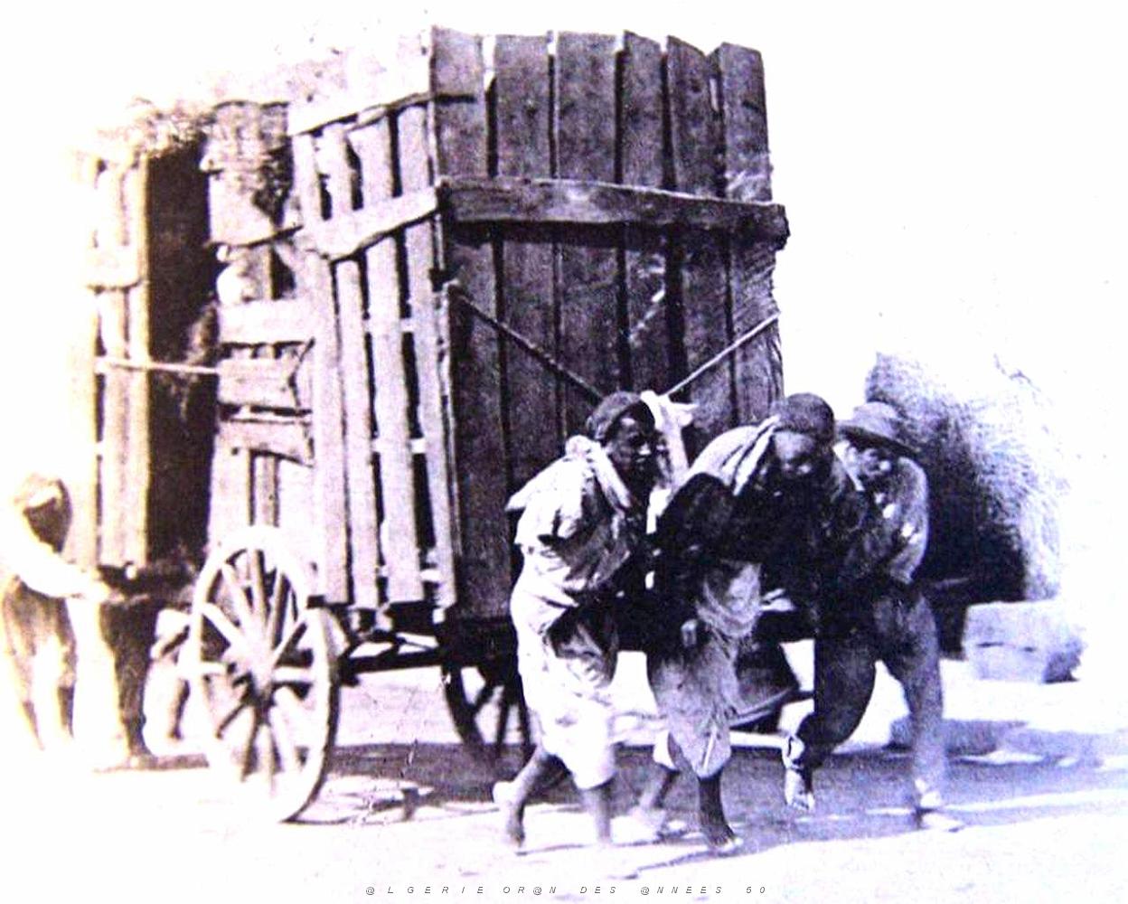 Images d'Algerie 033.jpg